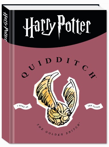 Harry potter diario agenda 10 mesi - Quidditch
